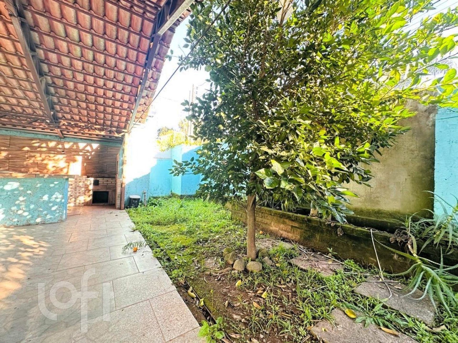 Imagem da propriedade 41