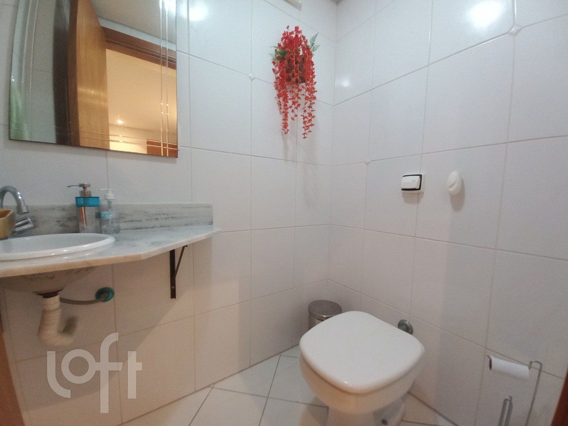 Imagem da propriedade 5