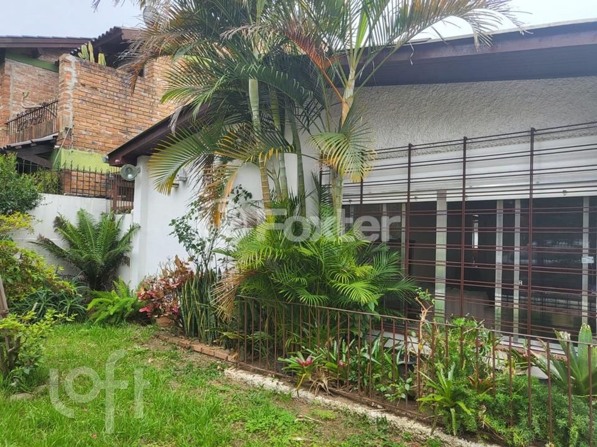 Imagem da propriedade 3
