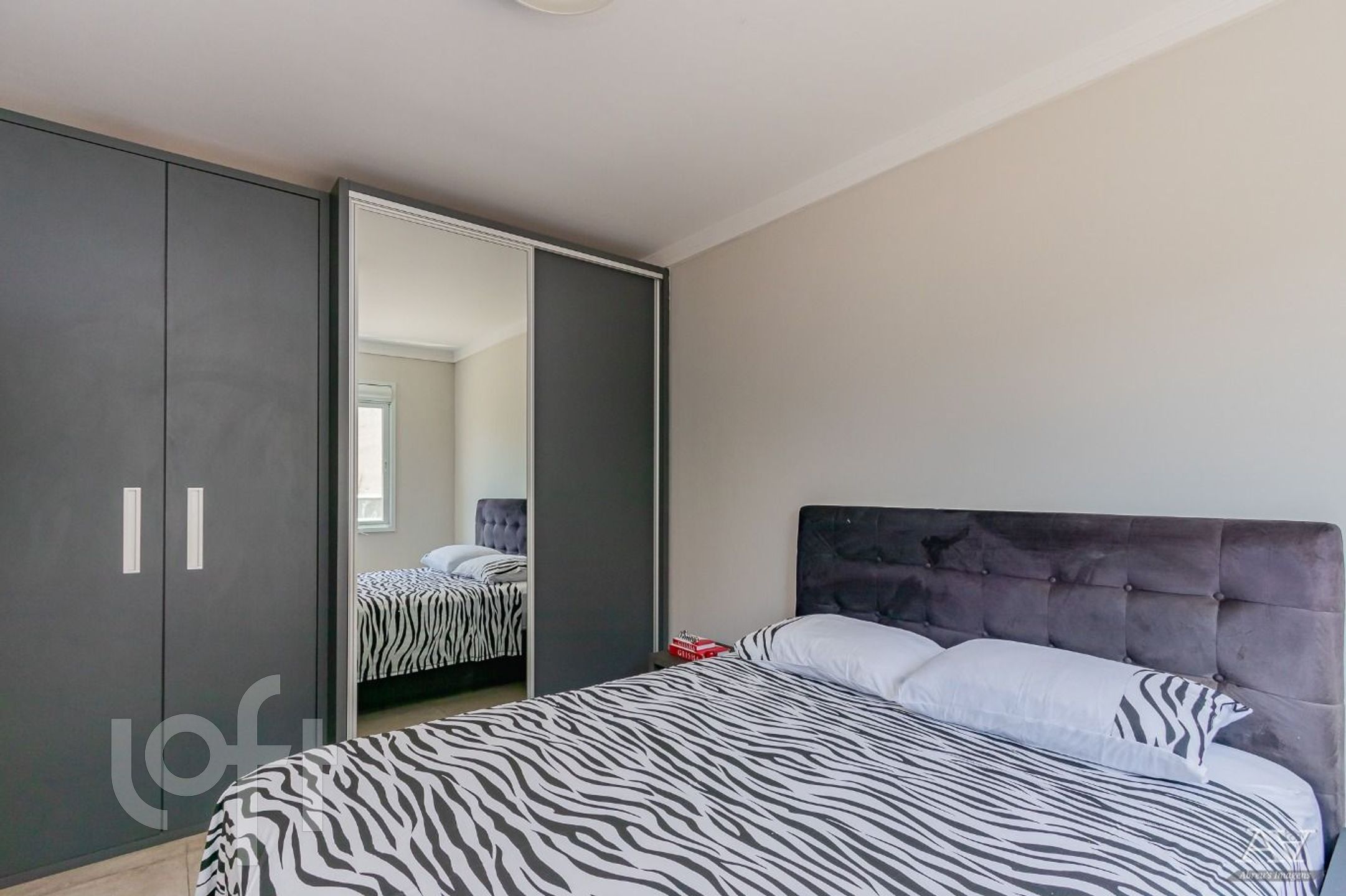 Imagem da propriedade 11