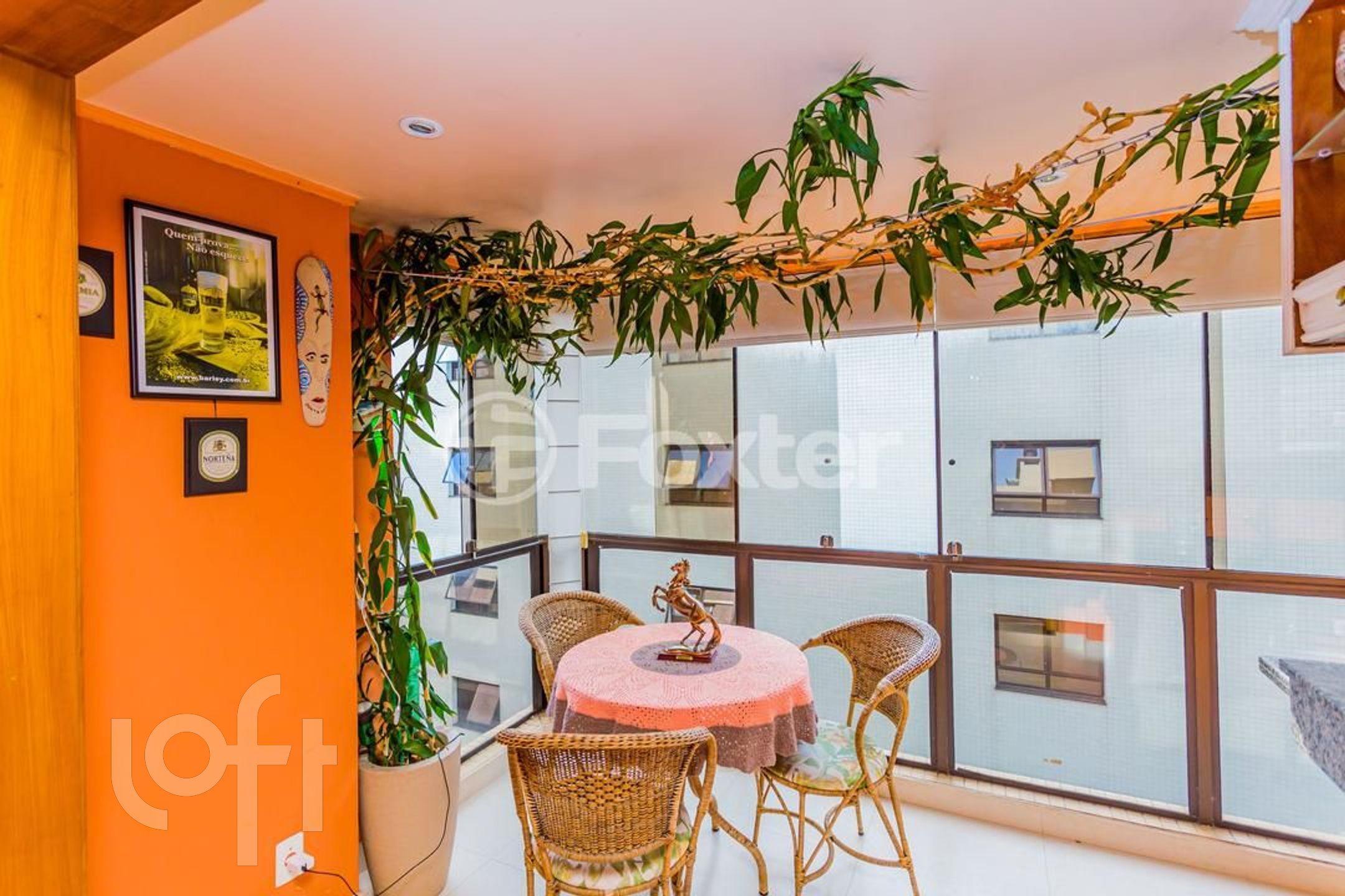 Imagem da propriedade 7