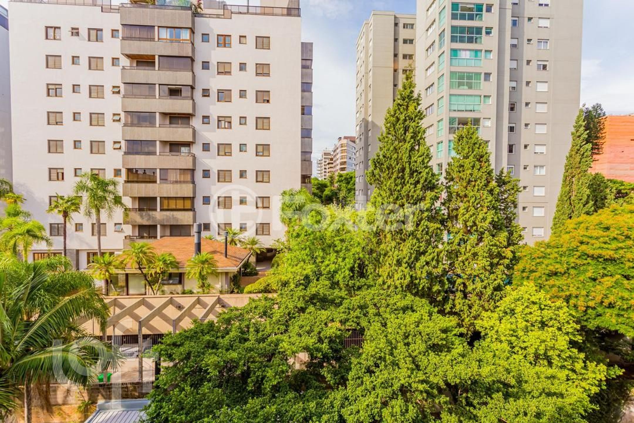 Imagem da propriedade 19