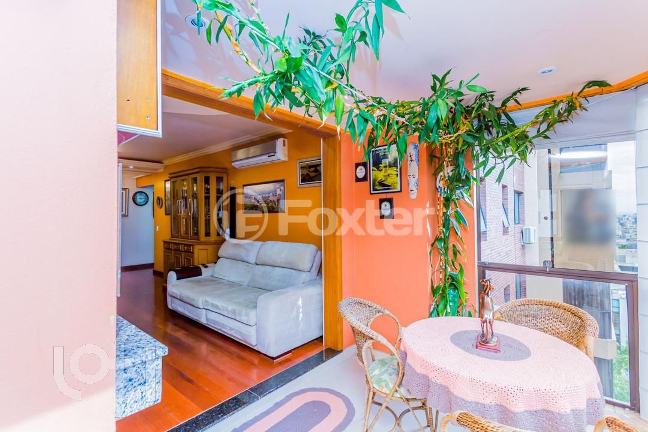 Imagem da propriedade 6