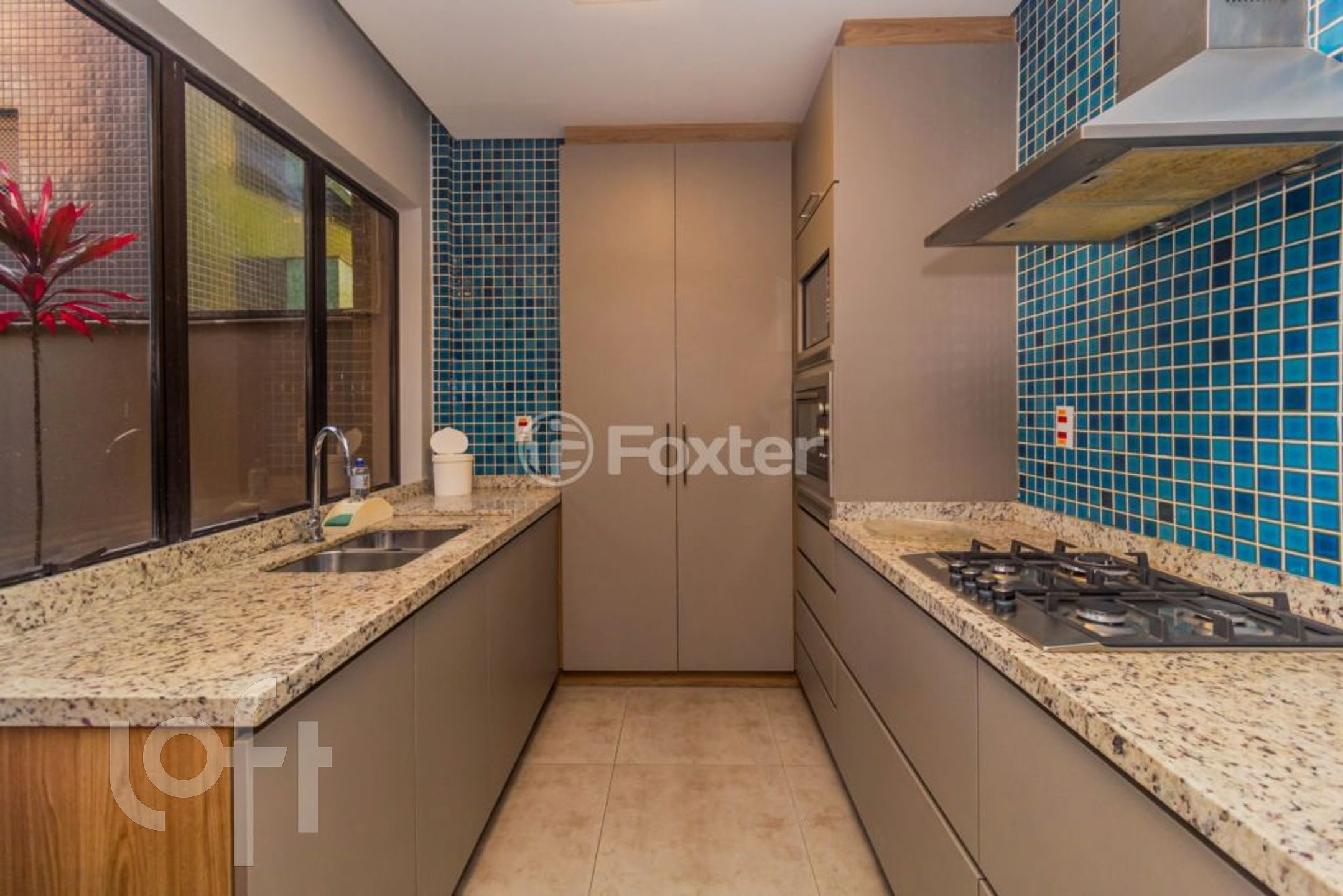 Imagem da propriedade 50